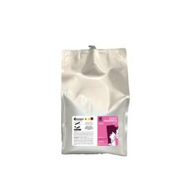 SS21 Compatible 2000ml Ink Bags