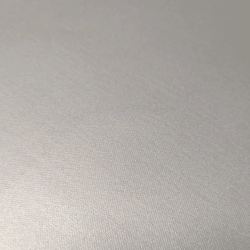 Cover Sheet Silver for Press